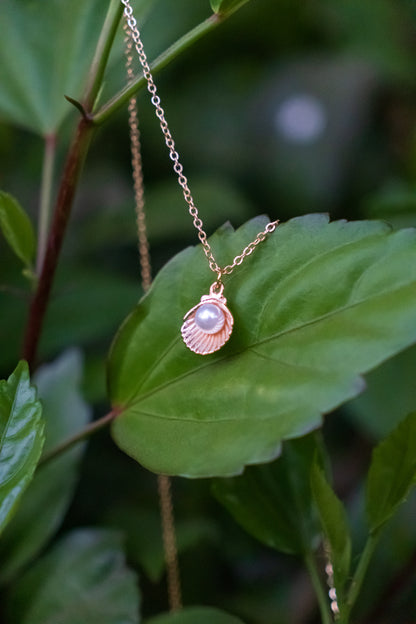 Shell with Pearl Necklace